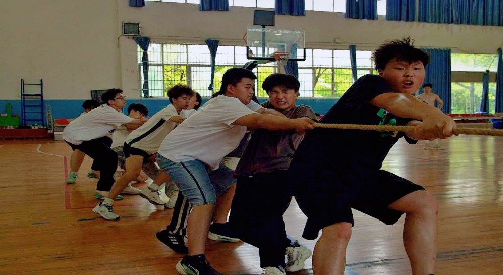 388vip太阳集团官网