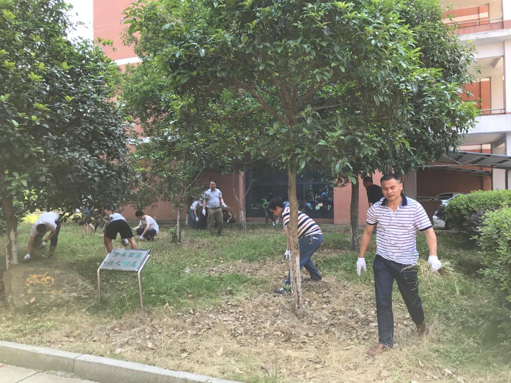 388vip太阳集团官网