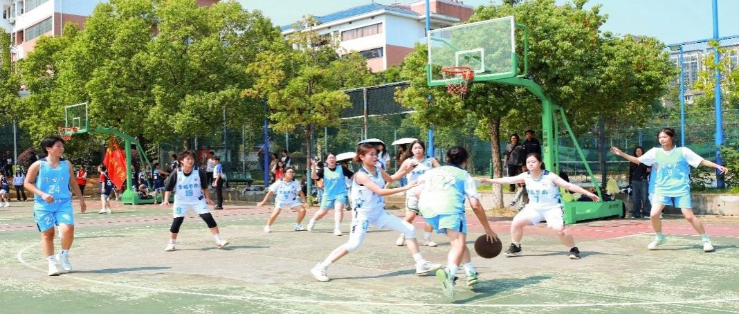 388vip太阳集团官网