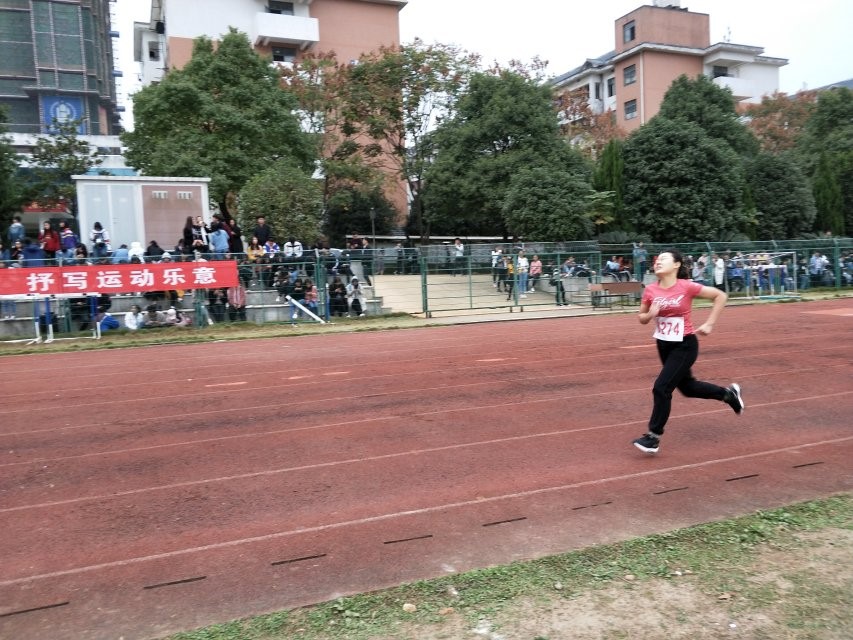 388vip太阳集团官网