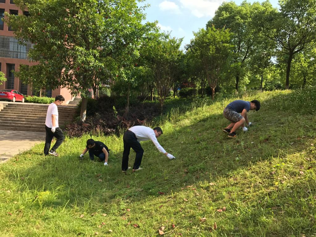 388vip太阳集团官网