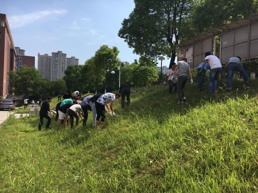 388vip太阳集团官网