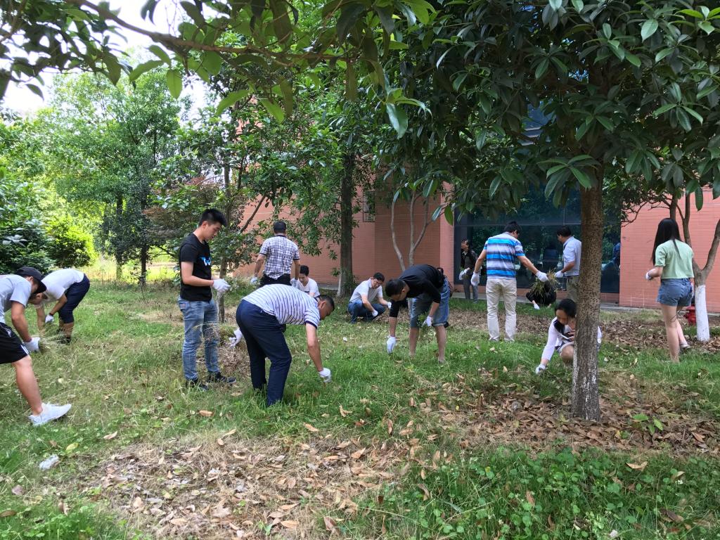 388vip太阳集团官网