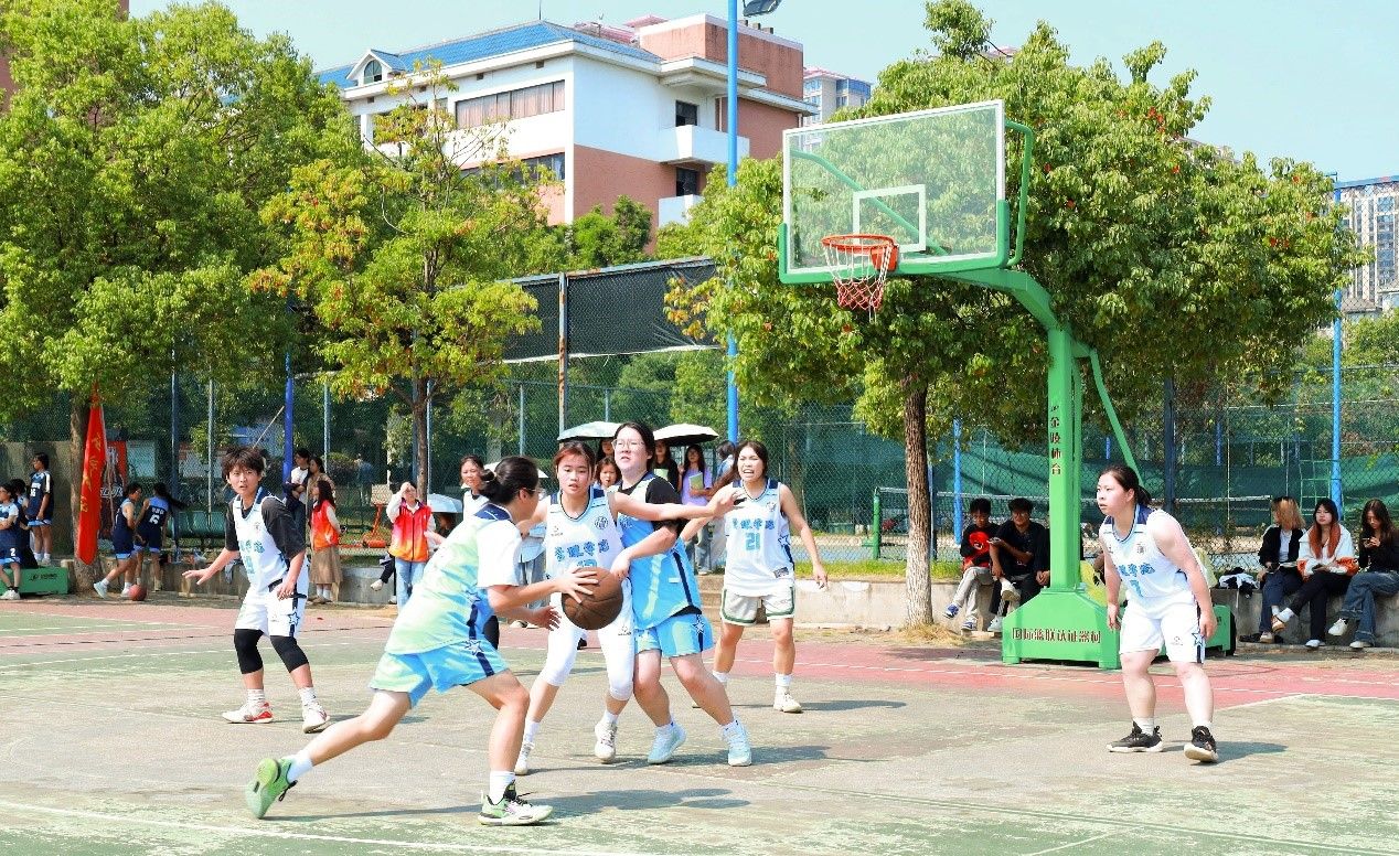 388vip太阳集团官网