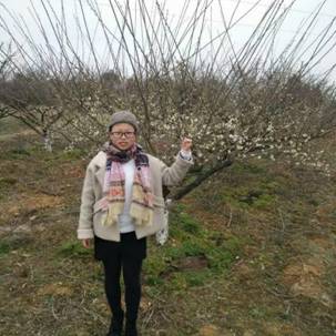 388vip太阳集团官网