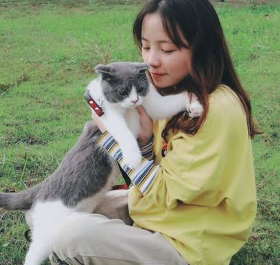 388vip太阳集团官网