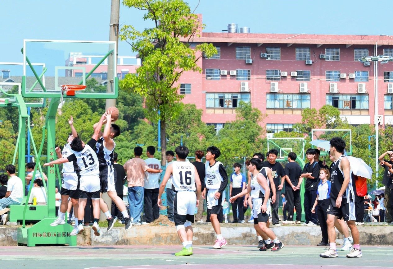 388vip太阳集团官网